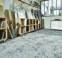 Balsan Vision HD - PTM